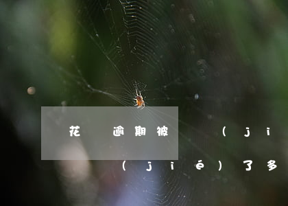 花唄逾期被凍結(jié)如何解封(花唄被凍結(jié)了多久能解開)