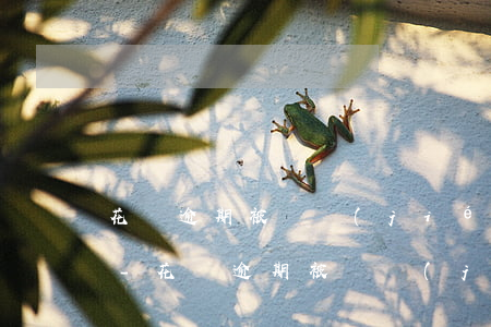 花唄逾期被凍結(jié)還清后還能用嗎-花唄逾期被凍結(jié)還清后還能用嗎怎么辦