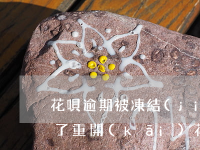 花唄逾期被凍結(jié)關(guān)了重開(kāi)(花唄被凍結(jié)關(guān)閉重開(kāi))