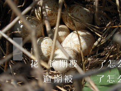 花唄逾期被凍結了怎么知道還欠多少錢-花唄逾期被凍結了怎么知道還欠多少錢了