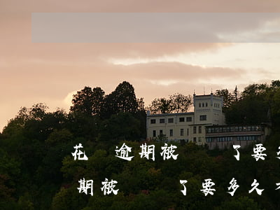 花唄逾期被凍結了要多久才能解封-花唄逾期被凍結了要多久才能解封呢