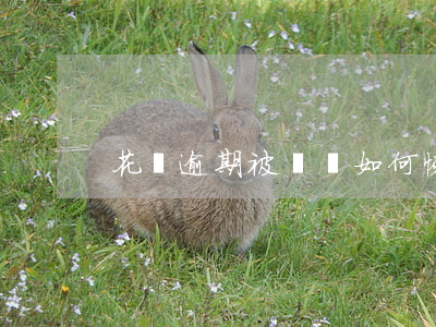 花唄逾期被凍結如何恢復