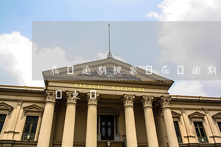 花唄逾期被家訪(花唄逾期大半年,打電話說上門走訪)