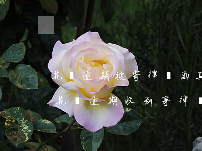 花唄逾期被寄律師函真的會被法院傳票嗎-花唄逾期收到寄律師函件多久會被起訴