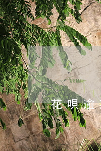 花唄逾期被封了多久解封