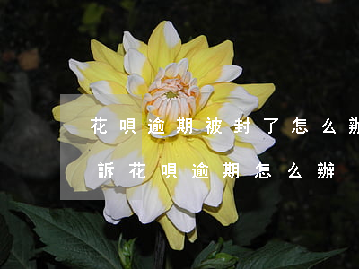 花唄逾期被封了怎么辦(花唄逾期多久會被起訴?花唄逾期怎么辦)