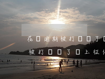 花唄逾期被打電話了會上征信嘛-花唄逾期被打電話了會上征信嘛怎么辦