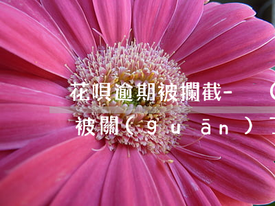 花唄逾期被攔截-沒(méi)有逾期花唄被關(guān)了