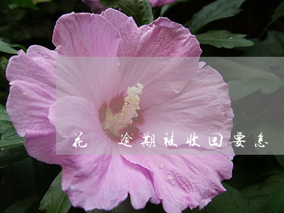 花唄逾期被收回要怎樣才能開通-