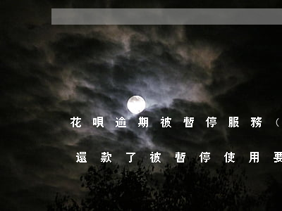 花唄逾期被暫停服務(wù)了(花唄逾期了還款了被暫停使用要多久才能恢復(fù))