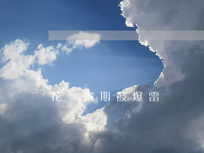 花唄逾期被爆雷