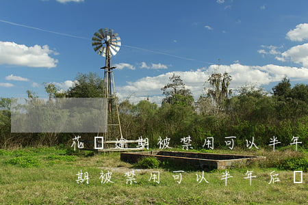花唄逾期被禁用可以半年后還款嗎-花唄逾期被禁用可以半年后還款嗎怎么辦