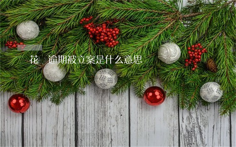 花唄逾期被立案是什么意思