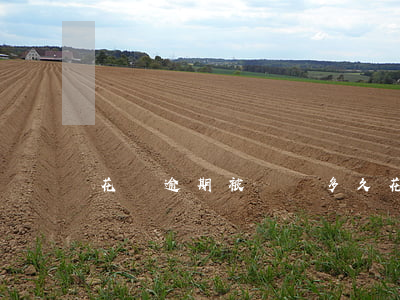 花唄逾期被約談多久 花唄逾期被約談多久起訴