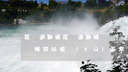 花唄逾期被，花唄逾期被凍結(jié)什么時候可以恢復(fù)正常