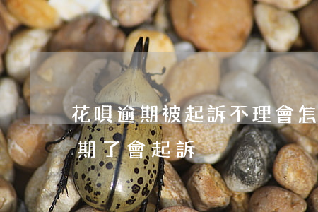 花唄逾期被起訴不理會怎樣-支付寶花唄逾期了會起訴