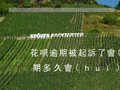 花唄逾期被起訴了會(huì)怎樣(花唄逾期多久會(huì)被起訴會(huì)有什么后果)