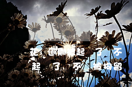 花唄逾期被起訴了會不會被拘留(花唄逾期被起訴了會不會被拘留)