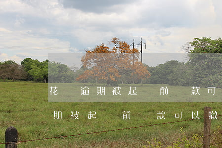 花唄逾期被起訴前還款可以撤訴嗎-花唄逾期被起訴前還款可以撤訴嗎怎么辦