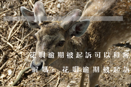 花唄逾期被起訴可以和客服調(diào)解嗎-花唄逾期被起訴可以和客服調(diào)解嗎