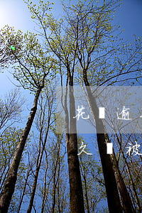花唄逾期被起訴后法院會怎么判(花唄逾期多久會被起訴?花唄逾期被起訴)
