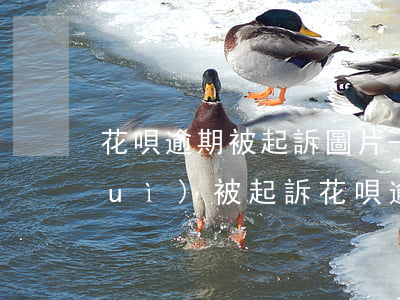 花唄逾期被起訴圖片-花唄多少逾期會(huì)被起訴?花唄逾期被起訴怎么辦