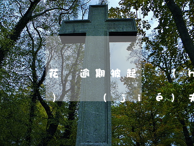 花唄逾期被起訴會(huì)不會(huì)凍結(jié)夫妻的存款（夫妻一方的花唄逾期）