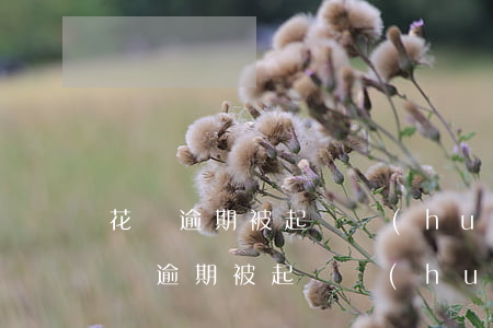 花唄逾期被起訴會(huì)影響子女嗎(花唄逾期被起訴會(huì)影響子女嗎)