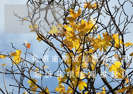 花唄逾期被起訴會判刑嗎(花唄逾期多久會被起訴?花唄逾期被起訴怎么辦)