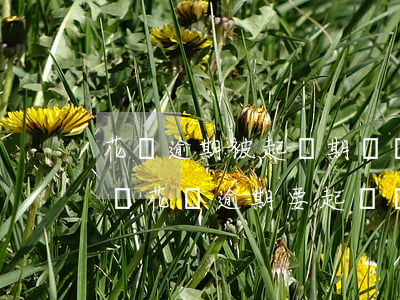 花唄逾期被起訴期間還款會(huì)撤訴嗎(花唄逾期要起訴,還清后還會(huì)被起訴嗎)