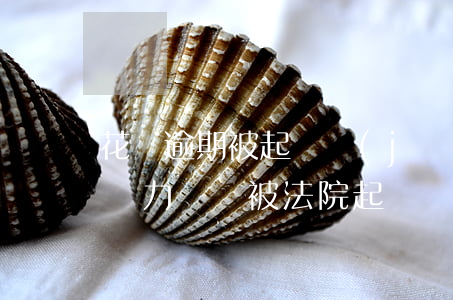 花唄逾期被起訴經(jīng)歷(花唄逾期無力償還被法院起訴會(huì)坐牢嗎)