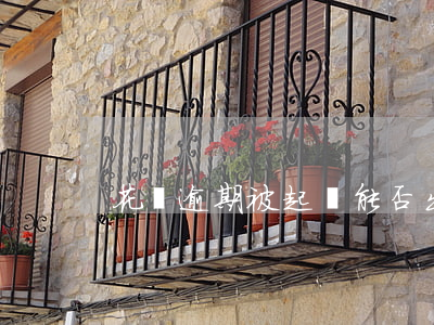 花唄逾期被起訴能否出境