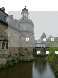 花唄逾期被起訴能法庭協(xié)商嗎(花唄逾期被起訴能法庭協(xié)商嗎)