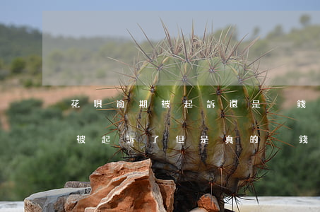 花唄逾期被起訴還是沒錢還怎么辦(欠花唄錢被起訴了,但是真的沒錢還怎么辦)