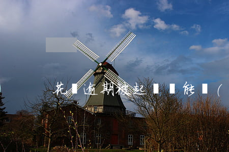 花唄逾期被起訴還能協(xié)商嗎