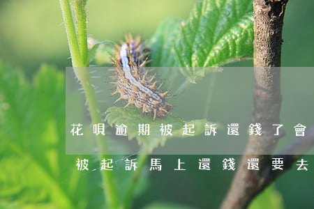 花唄逾期被起訴還錢了會被撤訴嗎(花唄逾期被起訴馬上還錢還要去法院嗎)