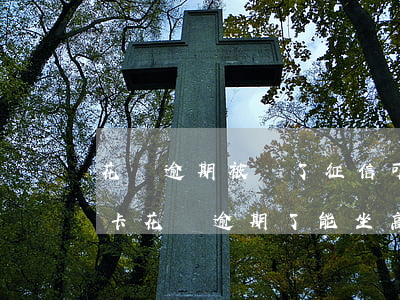 花唄逾期被鎖了征信可以做高鐵飛機嗎（信用卡花唄逾期了能坐高鐵嗎）