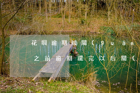 花唄逾期被關(guān)了怎么強開(花唄之前逾期還完以后關(guān)掉 現(xiàn)在開不了)