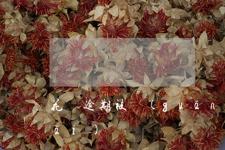 花唄逾期被關(guān)了還能在開(kāi)