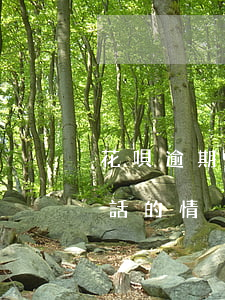 花唄逾期被限制通話(花唄逾期太久被屏蔽電話的情況下會不會被起訴)