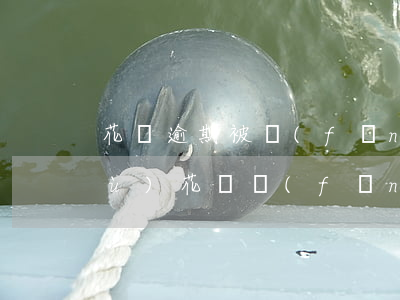 花唄逾期被風(fēng)控怎么恢復(fù)(花唄風(fēng)控大概多久恢復(fù))