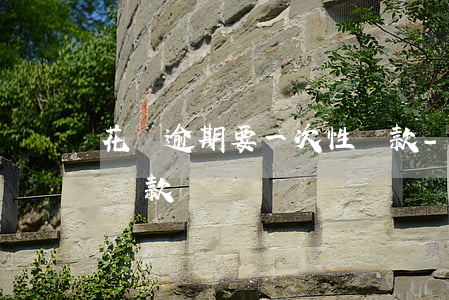 花唄逾期要一次性還款-花唄逾期要一次性還款