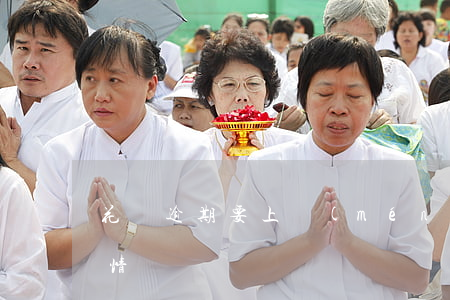 花唄逾期要上門(mén)核實(shí)情況