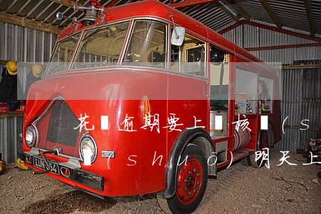 花唄逾期要上門核實(shí)嗎(花唄逾期說(shuō)明天上午9點(diǎn)之后上門調(diào)查,讓我保持電話暢通)