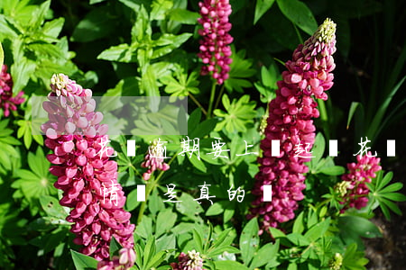 花唄逾期要上門起訴 花唄逾期說要上門了解情況是真的嗎