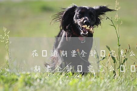 花唄逾期要全部還完怎么選擇分期-花唄逾期要全部還完怎么選擇分期還款呢
