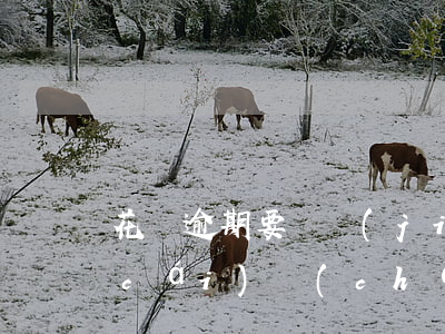 花唄逾期要凍結(jié)我名下所有財(cái)產(chǎn)-花唄逾期要凍結(jié)我名下所有財(cái)產(chǎn)怎么辦