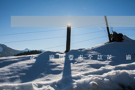 花唄逾期 要求全款(花唄逾期 要求全款還清)