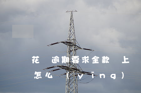 花唄逾期要求全款還,上門調(diào)查怎么應(yīng)對(duì)-花唄逾期說要上門了解情況是真的嗎