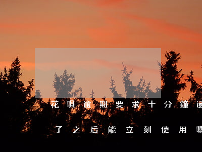 花唄逾期要求十分鐘還(花唄逾期十幾分鐘還了之后,能立刻使用嗎)